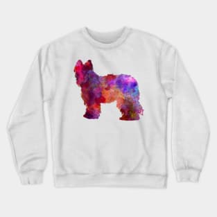 Briard in watercolor Crewneck Sweatshirt